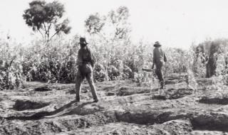 Two Aboriginal workmen in the vegetable gardens