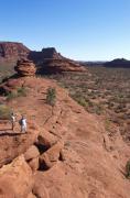 Looking over Palm Valley